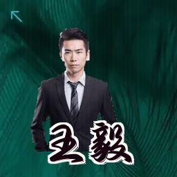 王毅